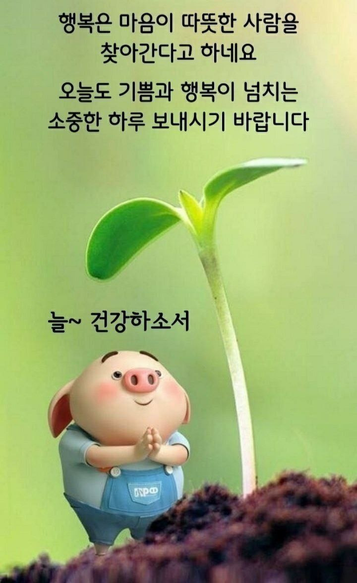 야화 프로필 이미지