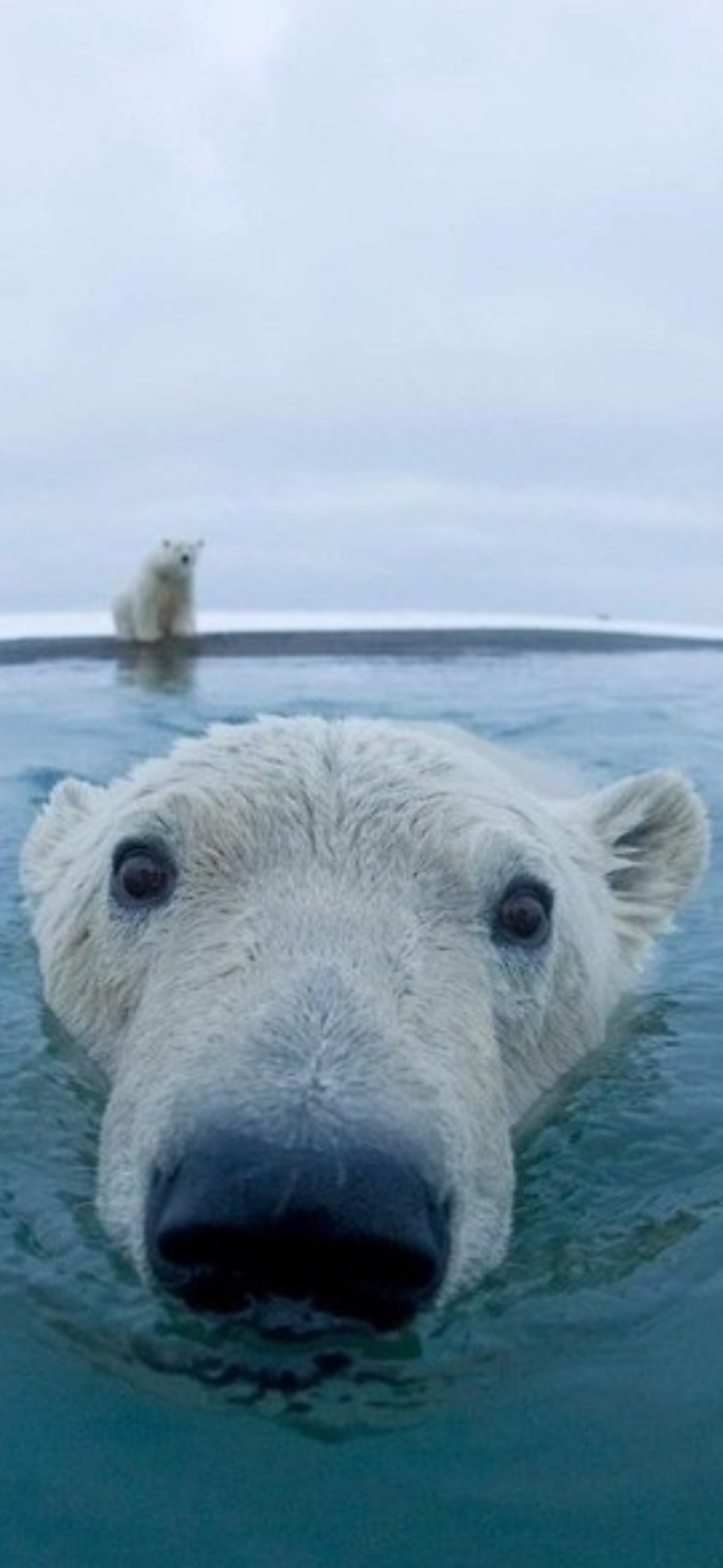 작성자 프로필 이미지