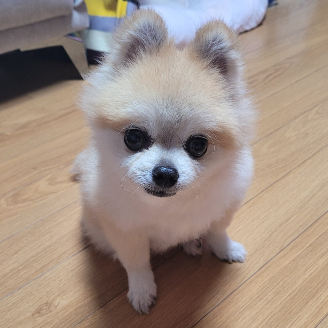 작성자 프로필 이미지