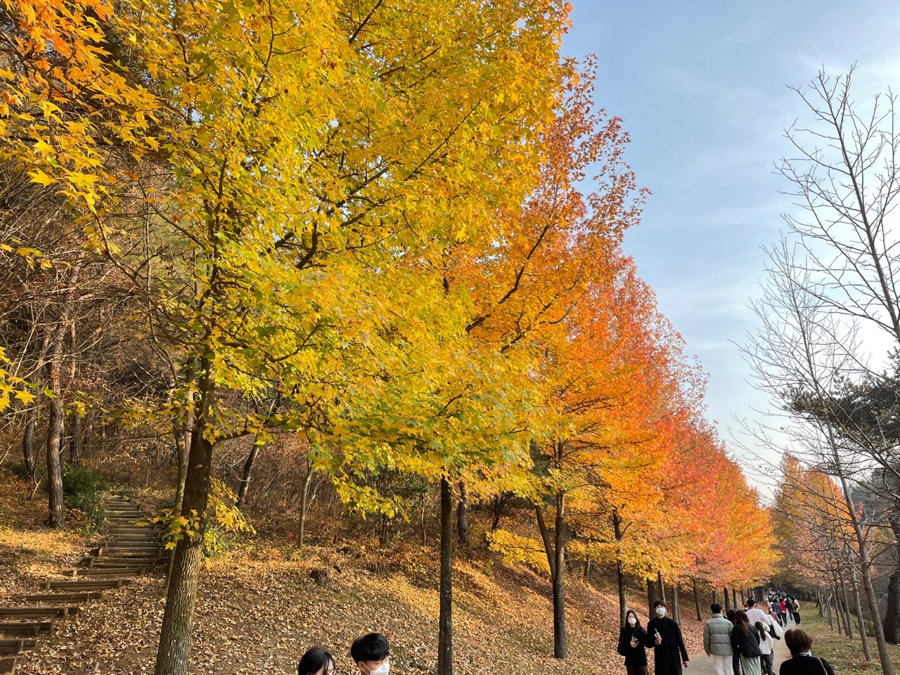 작성자 프로필 이미지