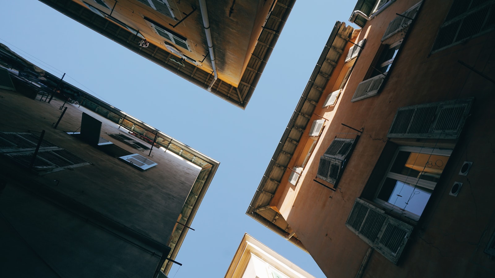 작성자 프로필 이미지