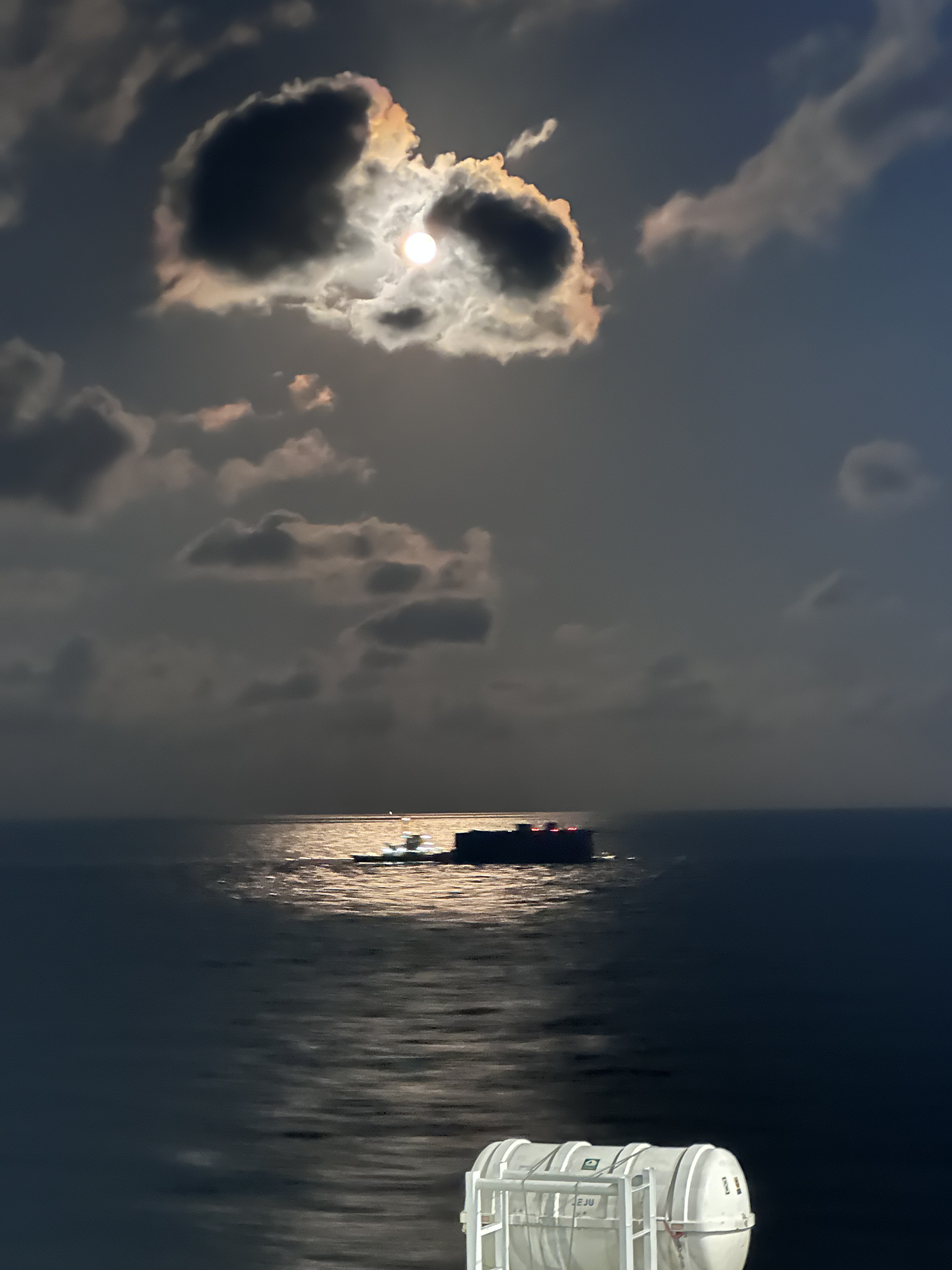 작성자 프로필 이미지