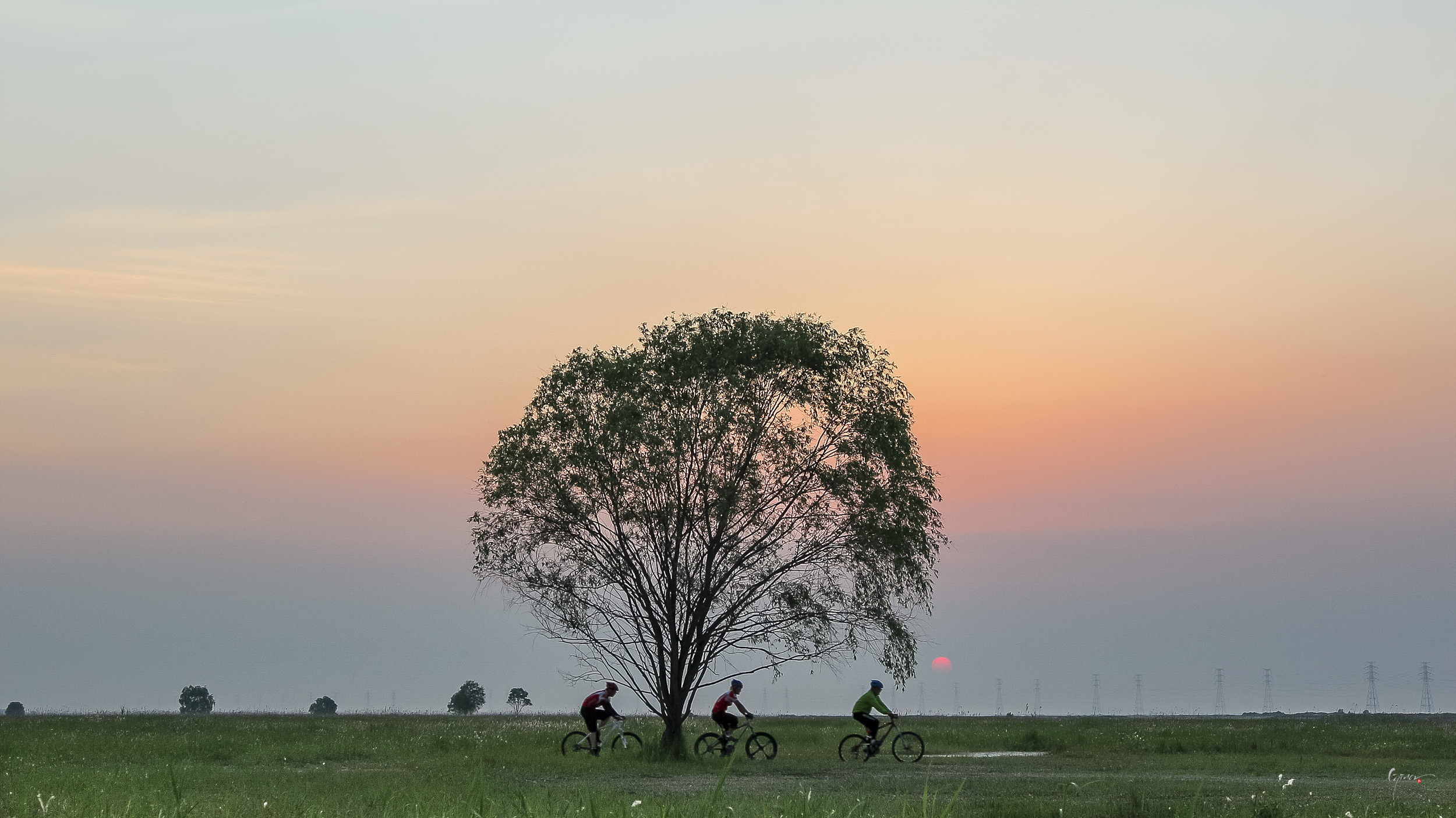 작성자 프로필 이미지