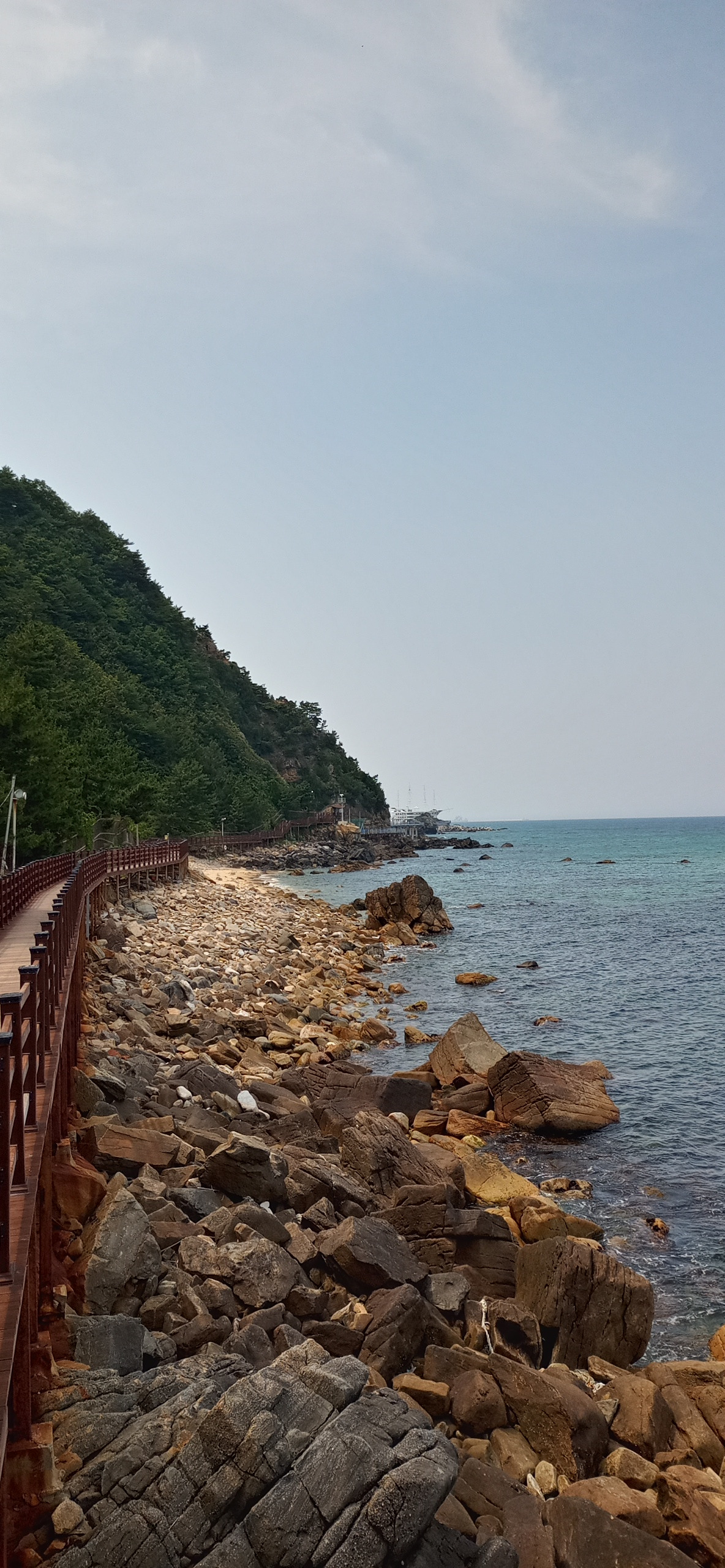 작성자 프로필 이미지