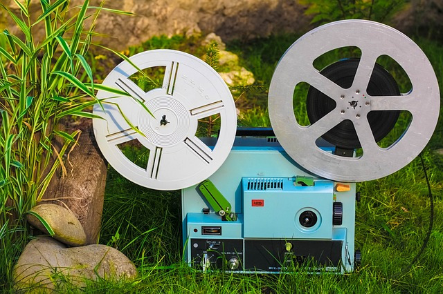 작성자 프로필 이미지