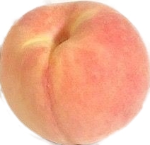 작성자 프로필 이미지