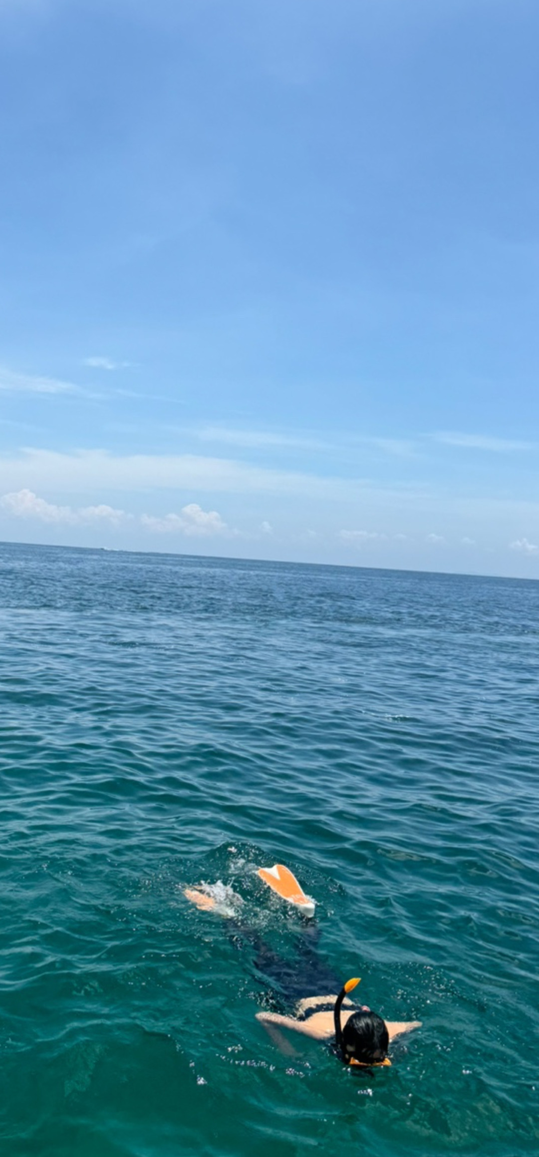 작성자 프로필 이미지