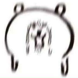 작성자 프로필 이미지