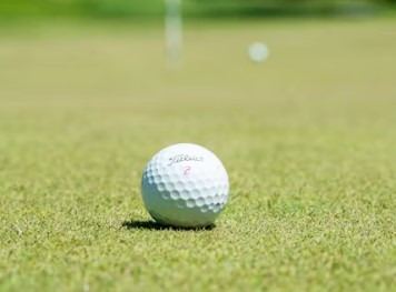 작성자 프로필 이미지