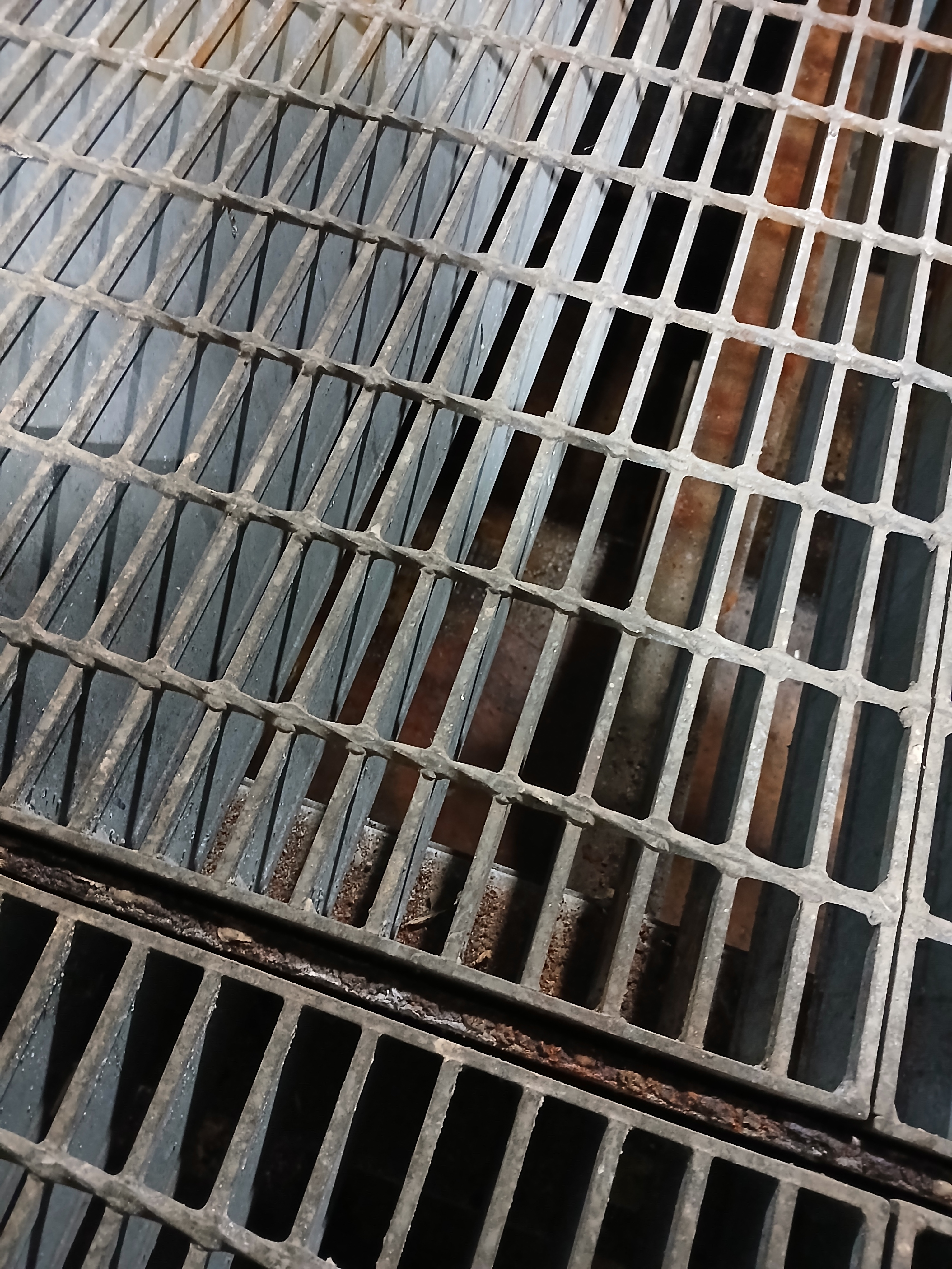 작성자 프로필 이미지