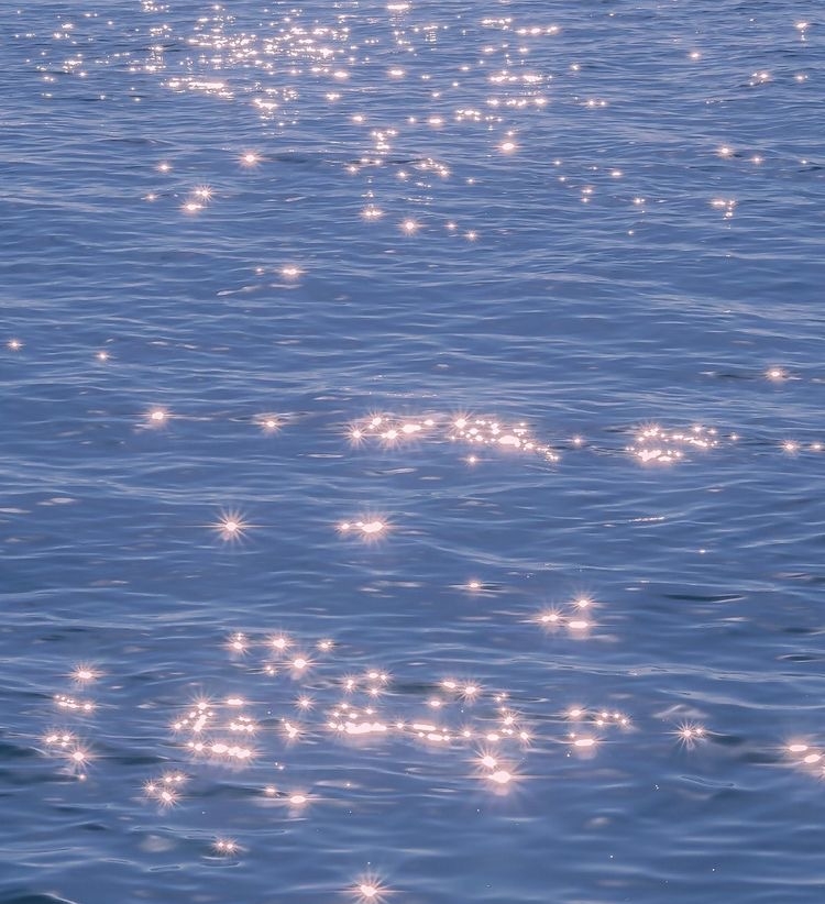 작성자 프로필 이미지