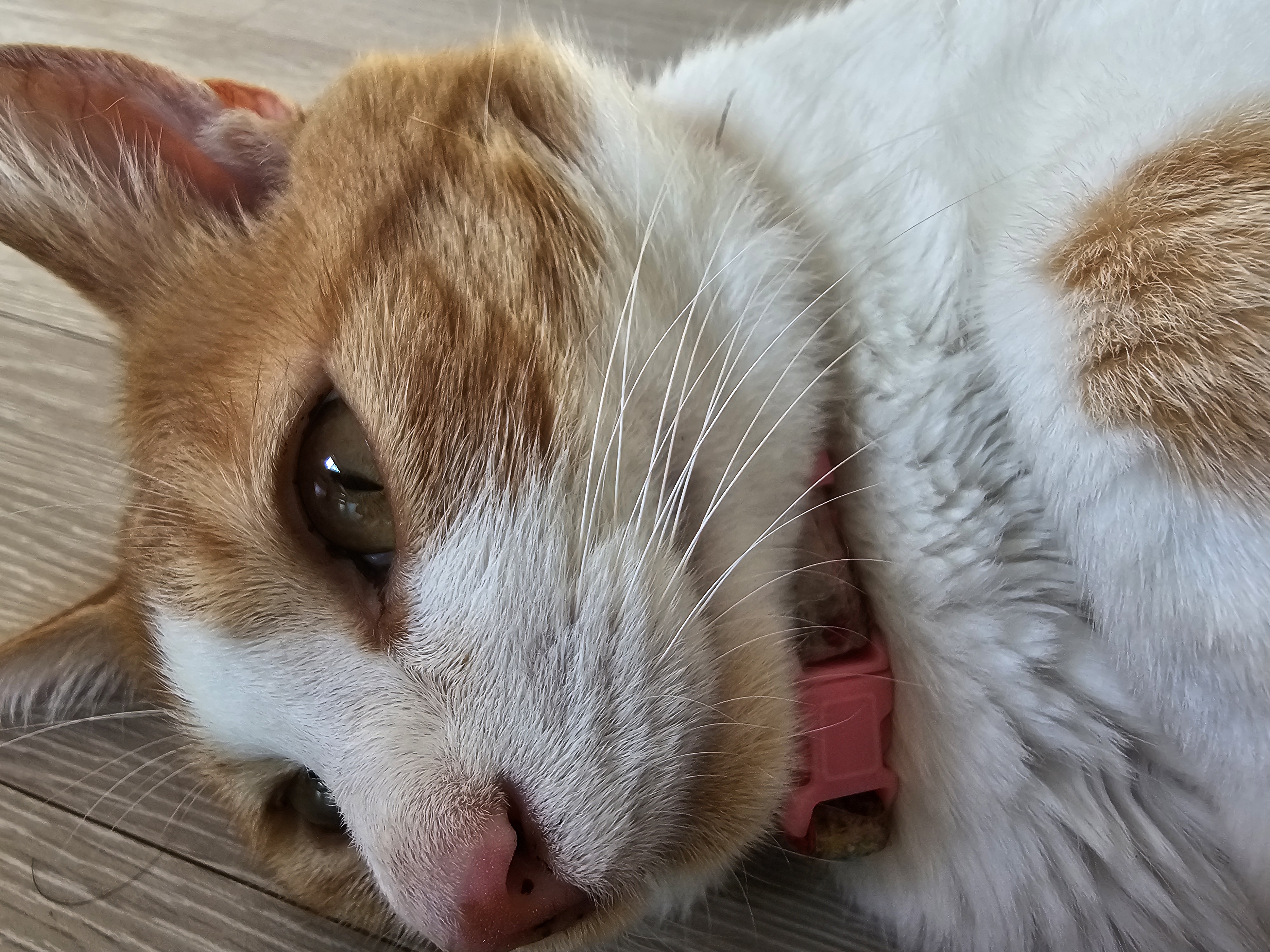 작성자 프로필 이미지