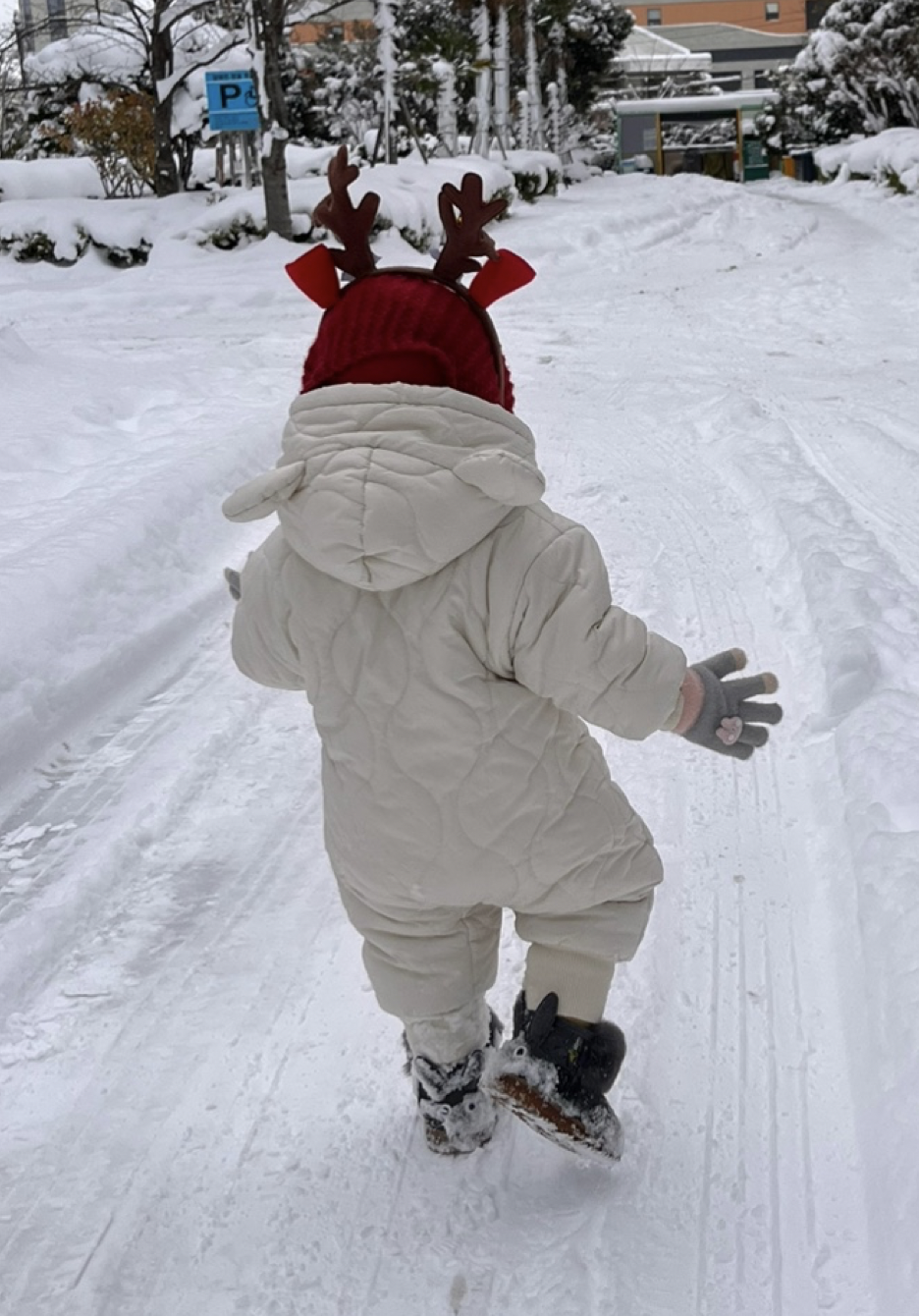 작성자 프로필 이미지