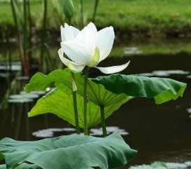 작성자 프로필 이미지