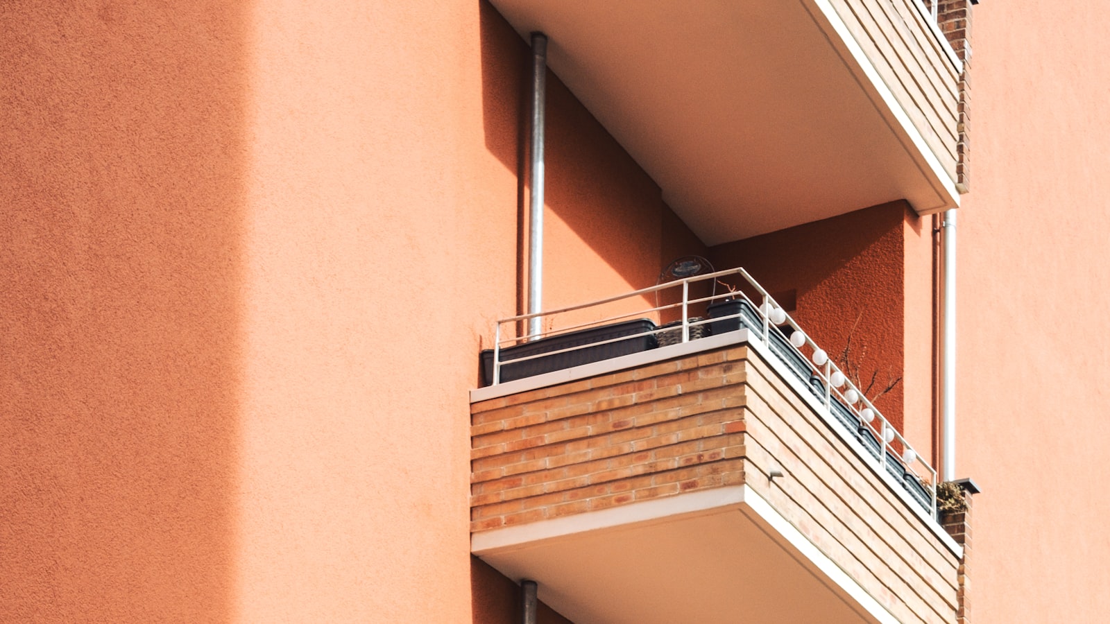 작성자 프로필 이미지