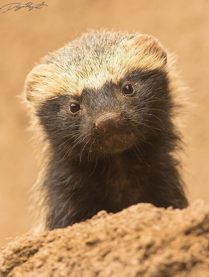 작성자 프로필 이미지