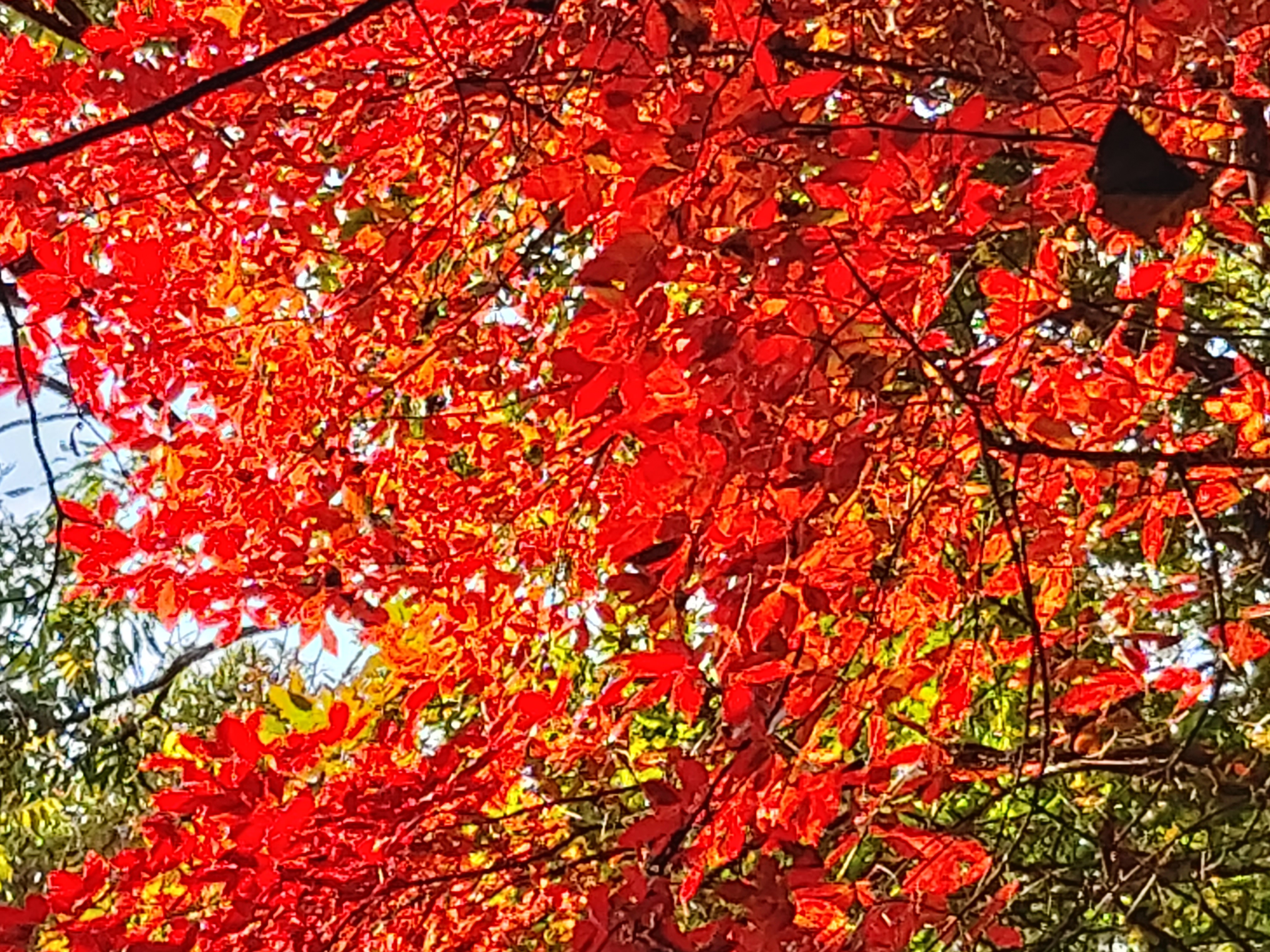 작성자 프로필 이미지