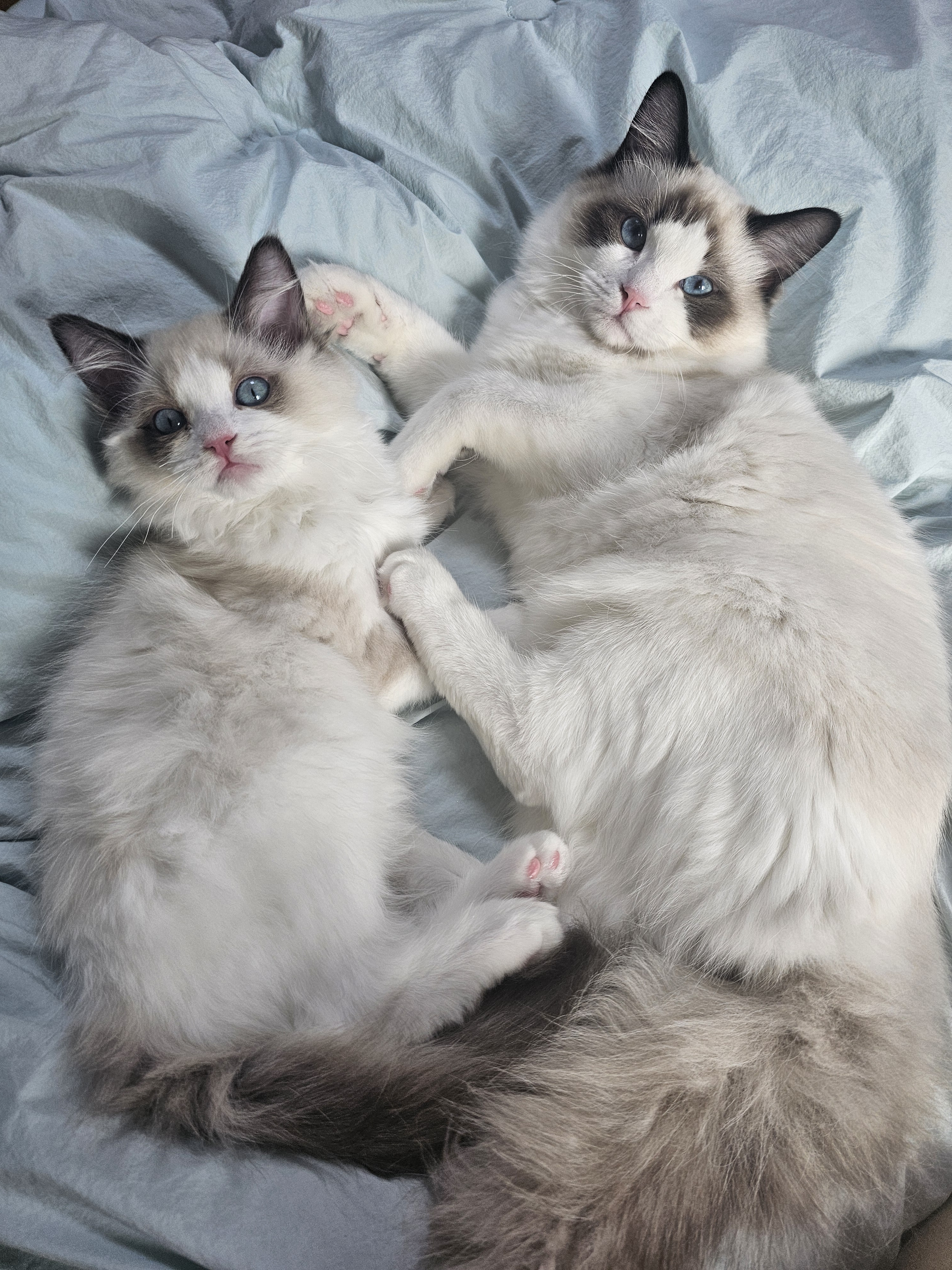 작성자 프로필 이미지