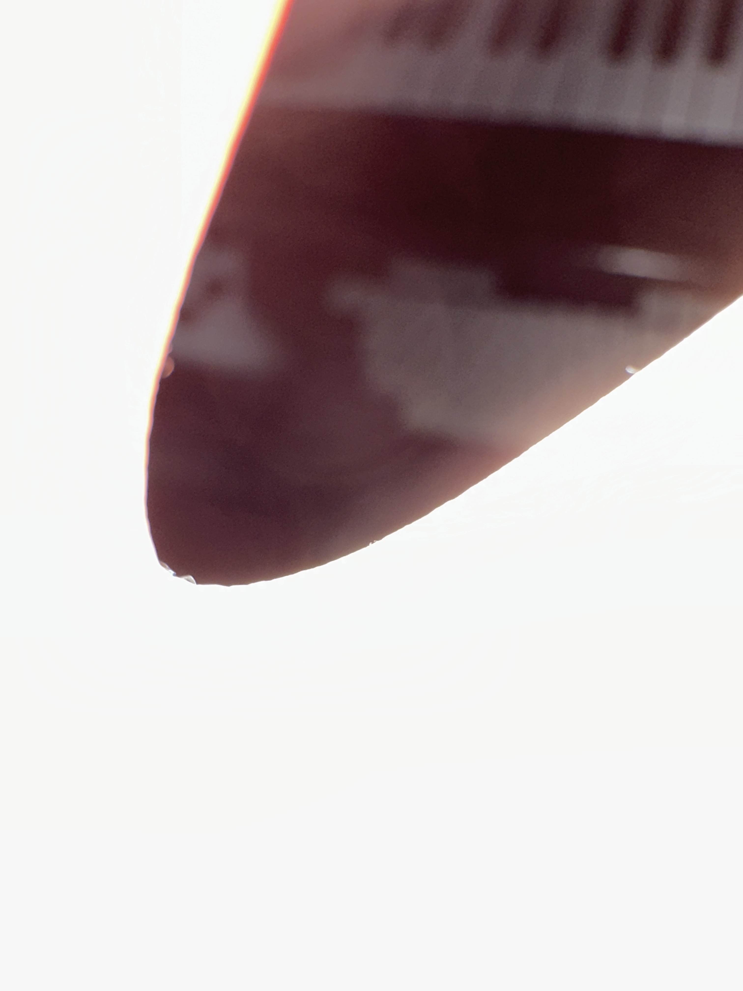 작성자 프로필 이미지