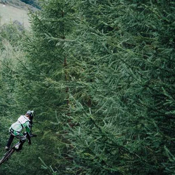 작성자 프로필 이미지