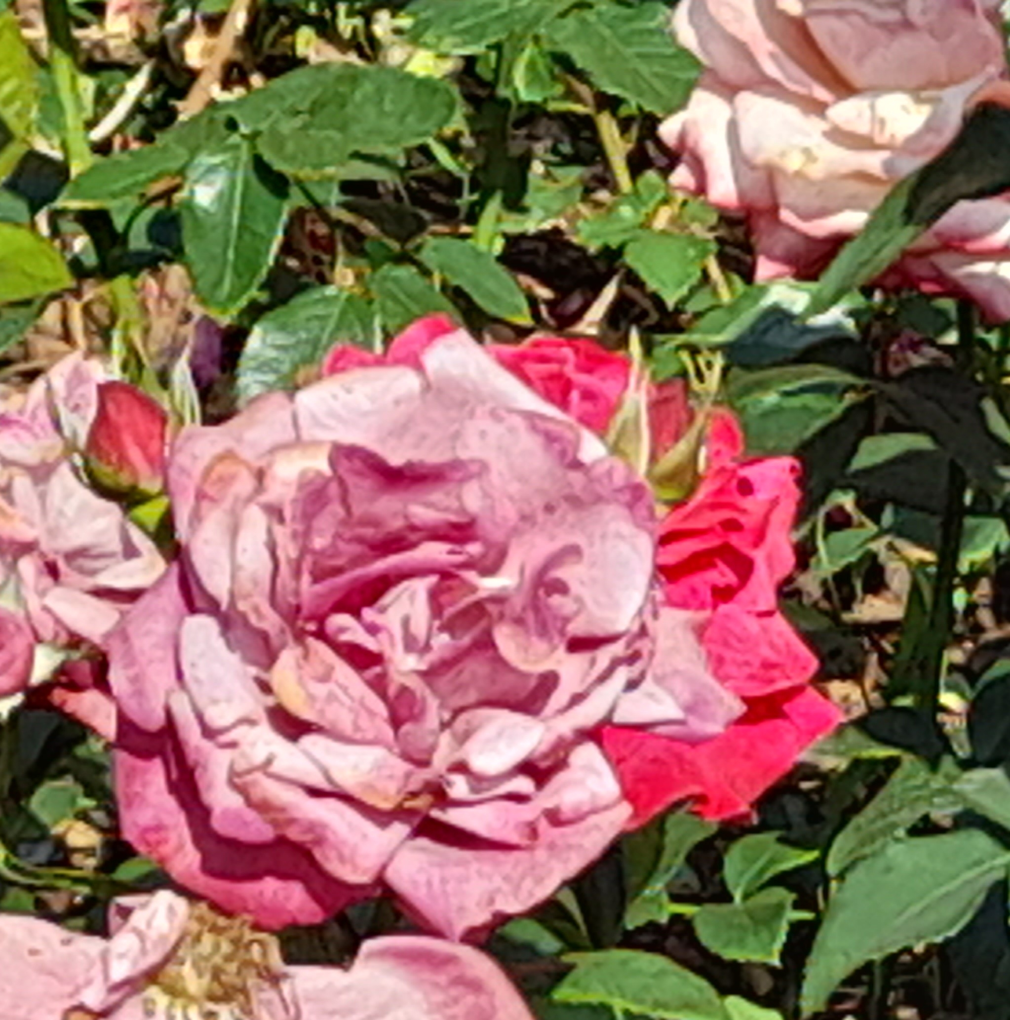 작성자 프로필 이미지