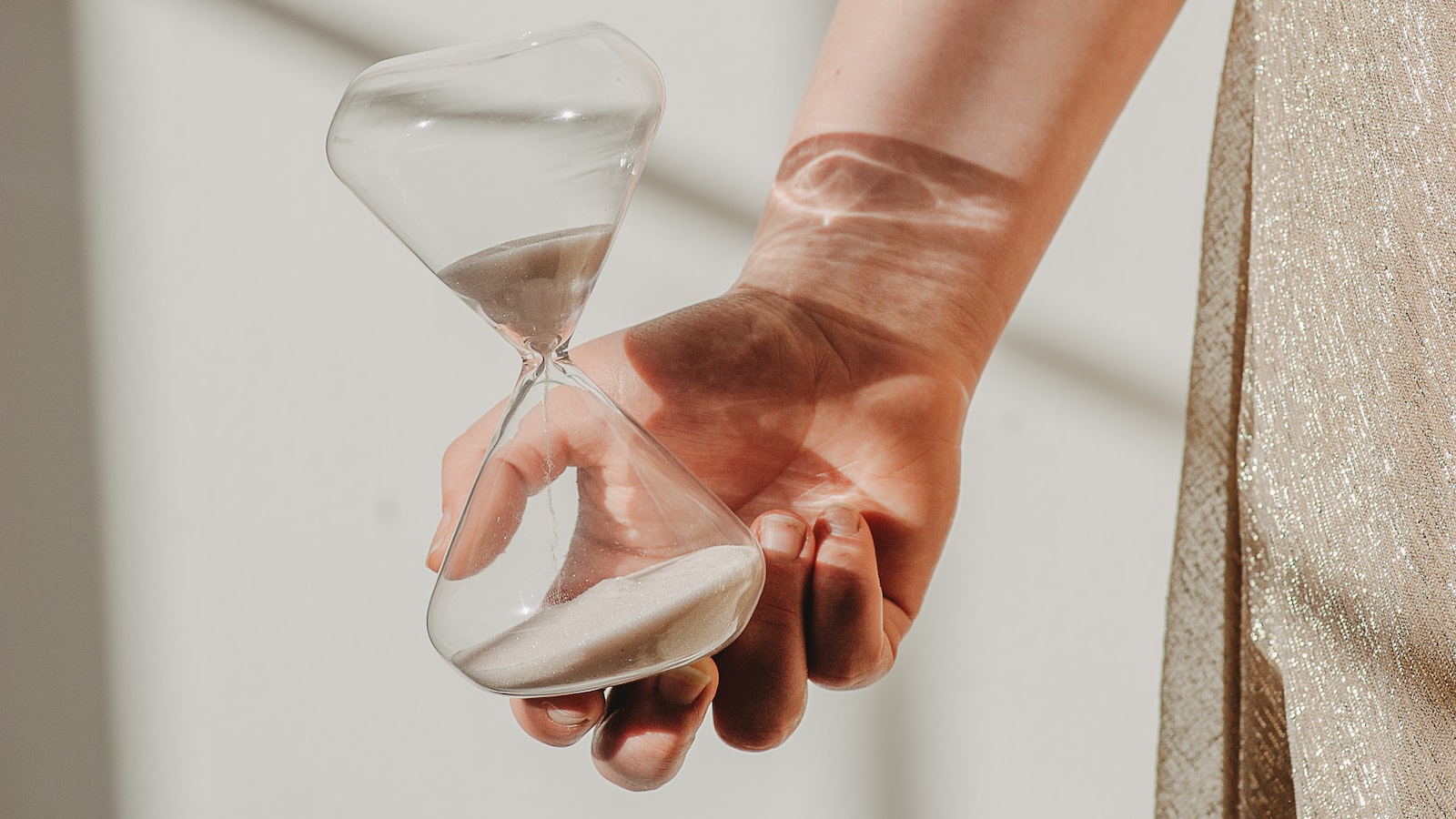 작성자 프로필 이미지