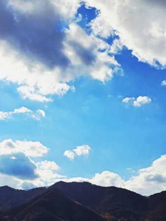 작성자 프로필 이미지