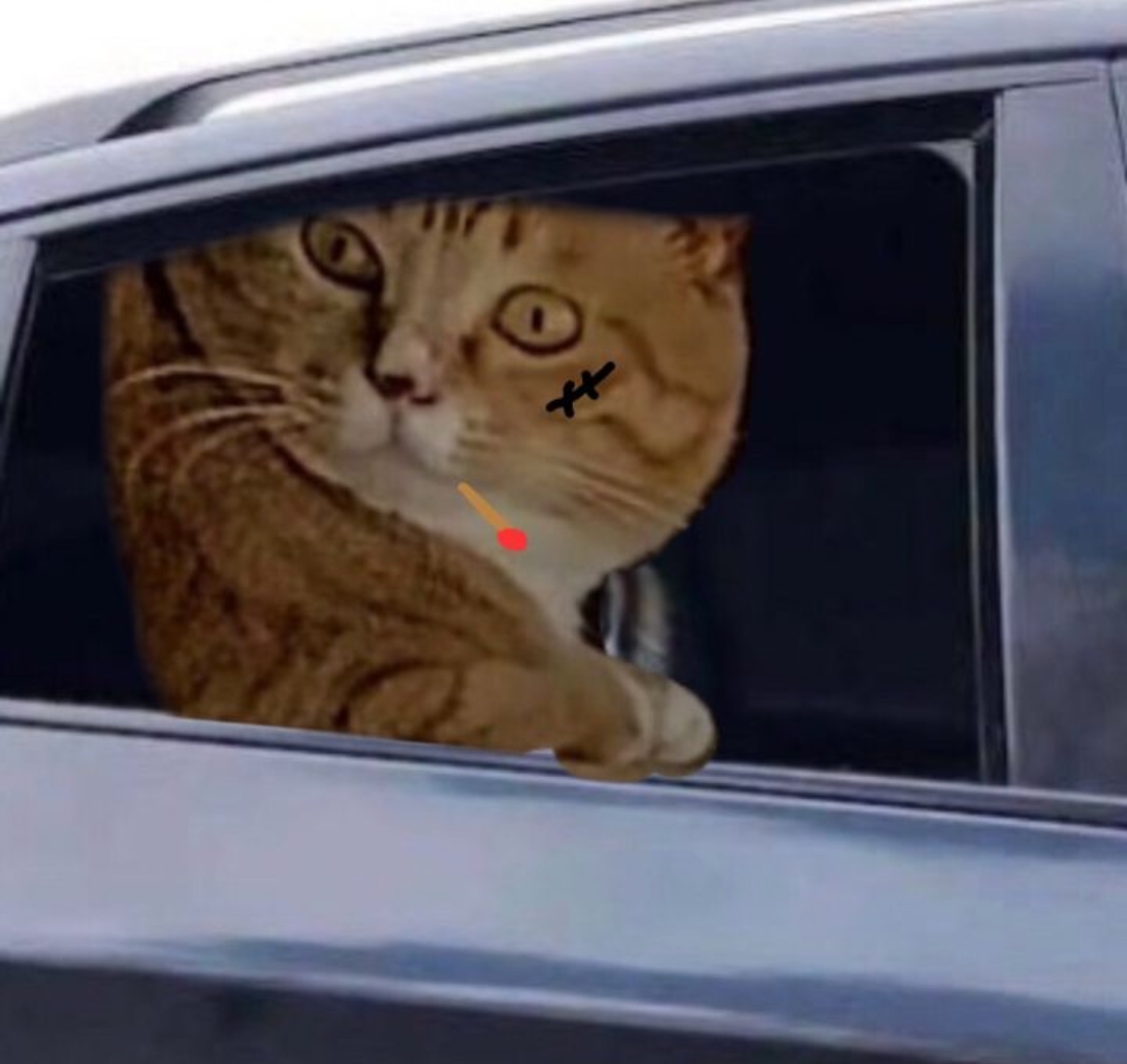 작성자 프로필 이미지