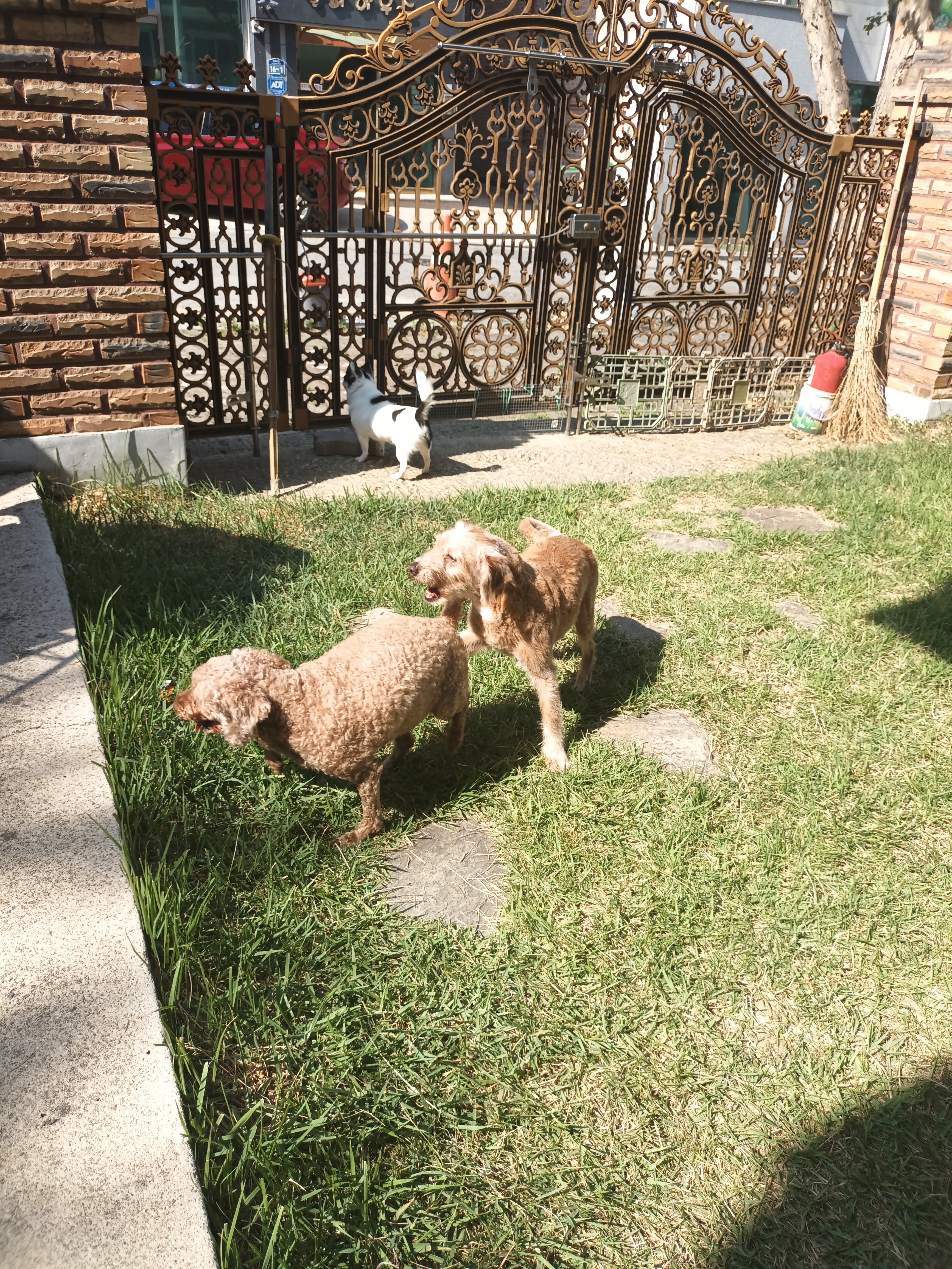 작성자 프로필 이미지