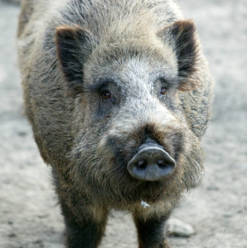 작성자 프로필 이미지