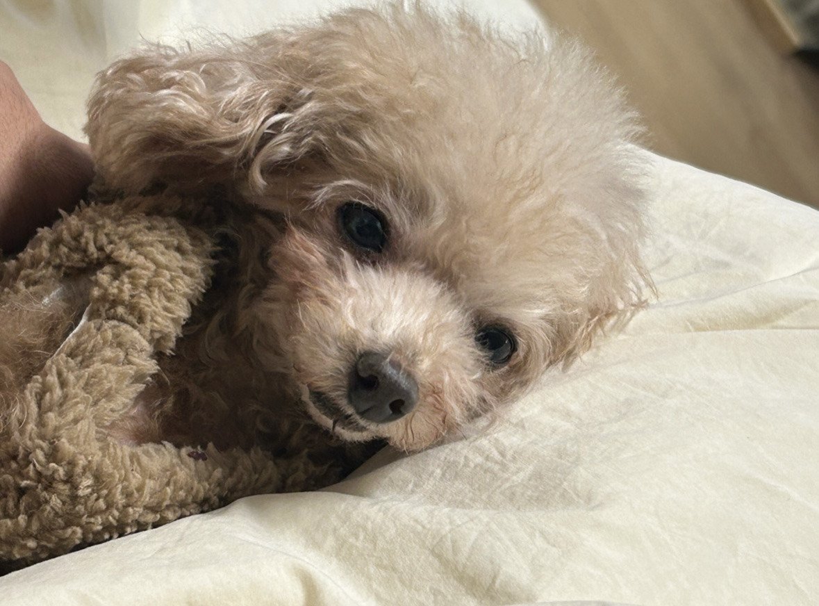 작성자 프로필 이미지