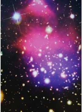 작성자 프로필 이미지