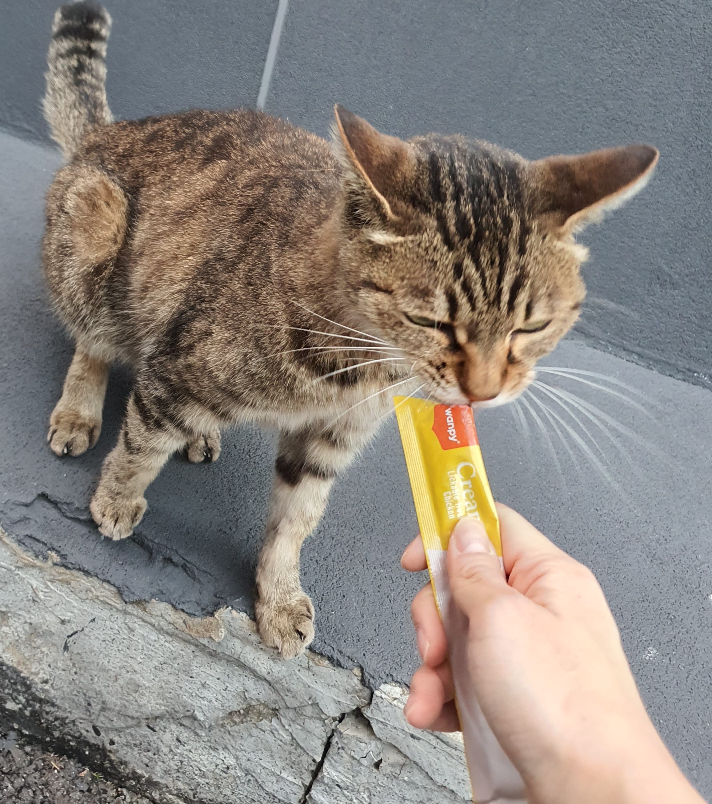 작성자 프로필 이미지