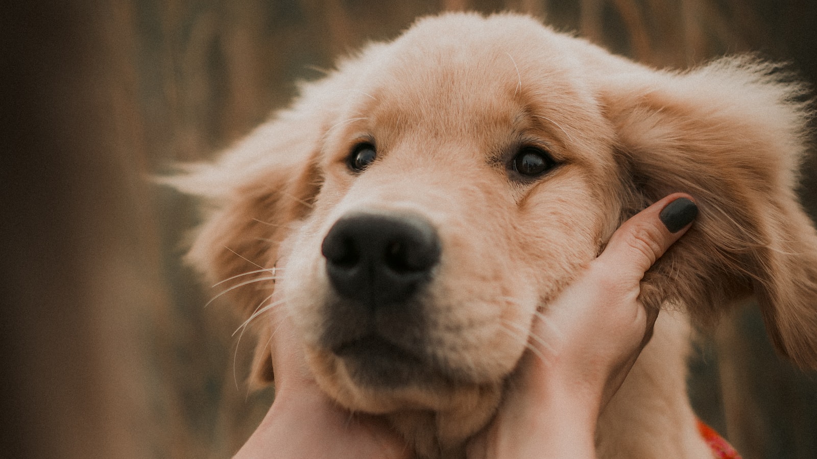 작성자 프로필 이미지