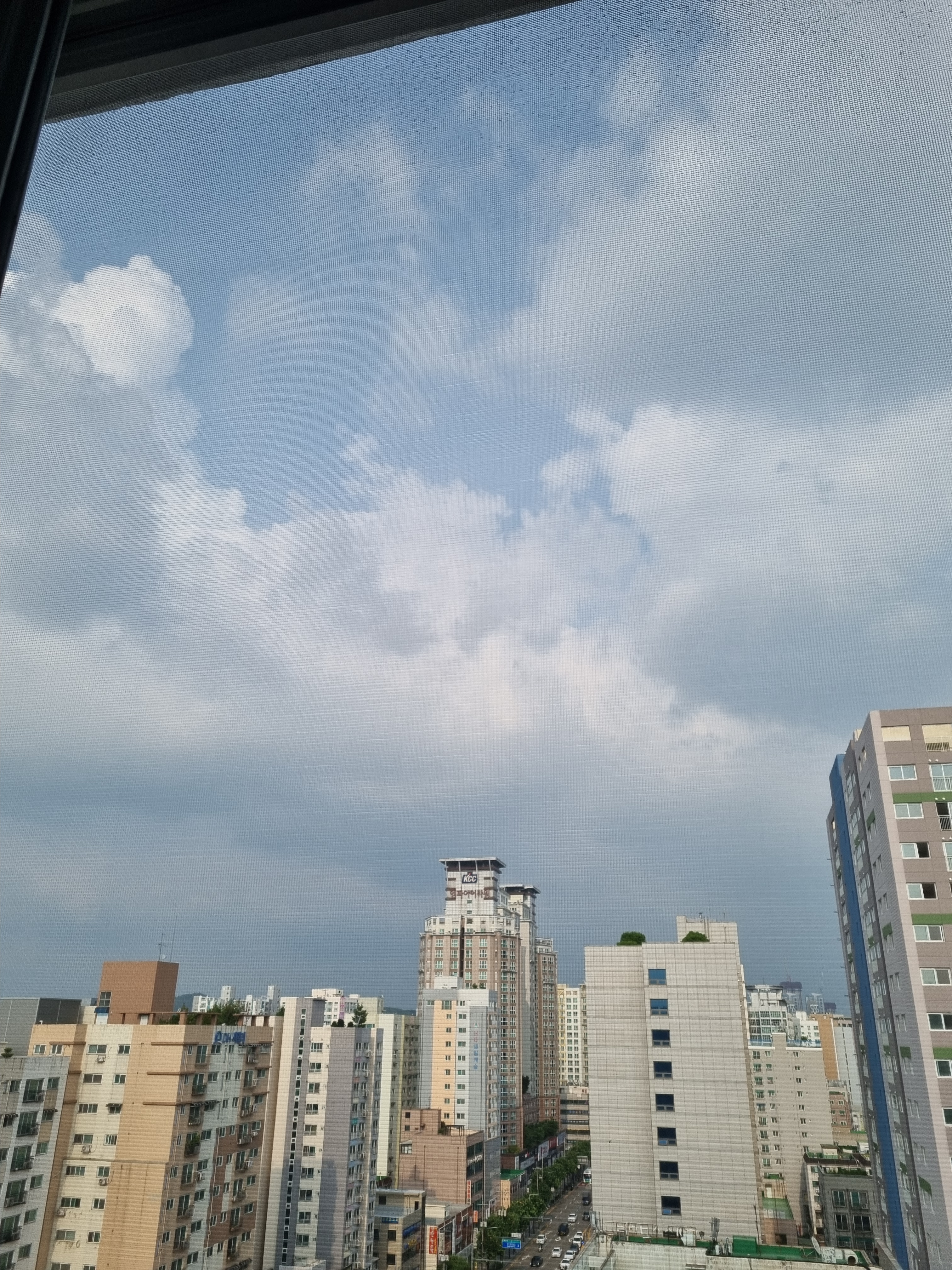 작성자 프로필 이미지