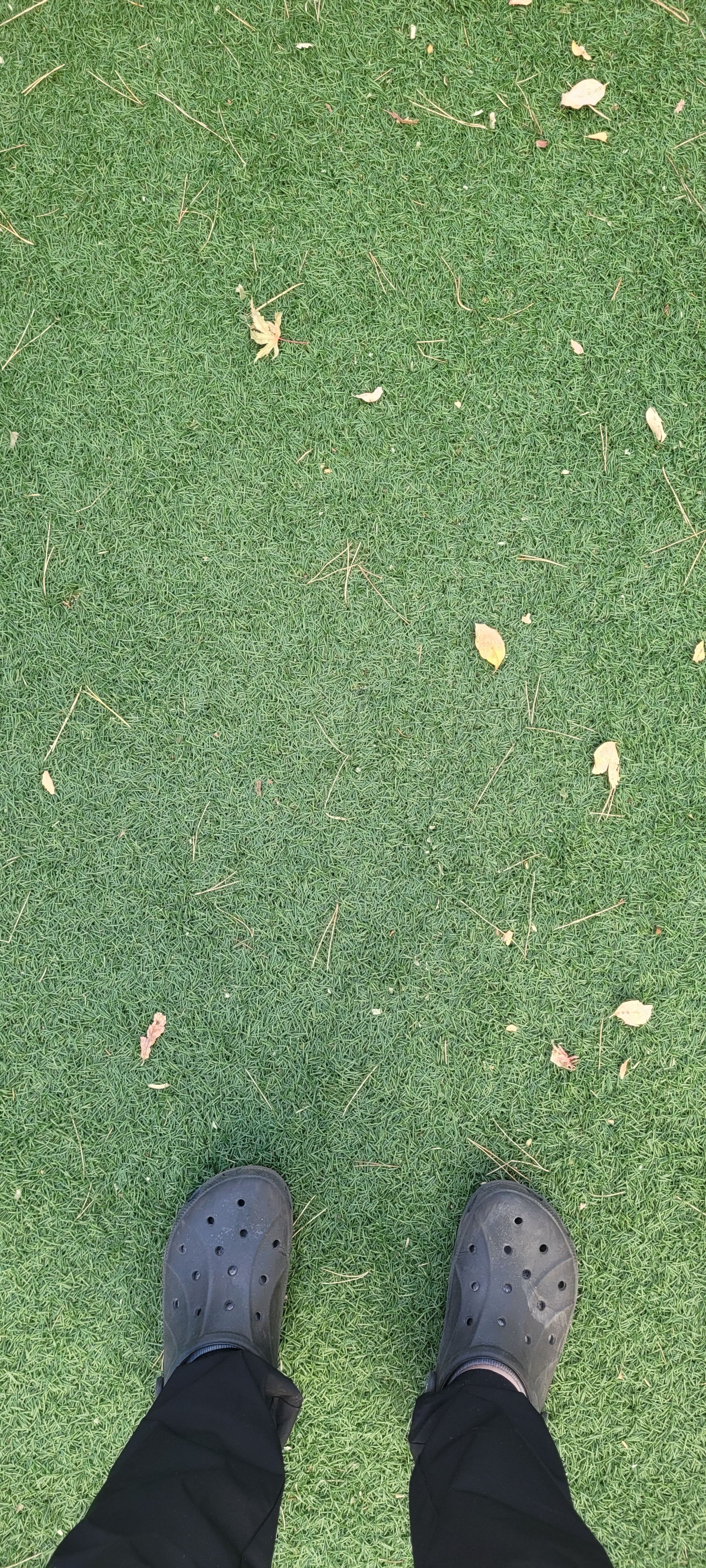 작성자 프로필 이미지