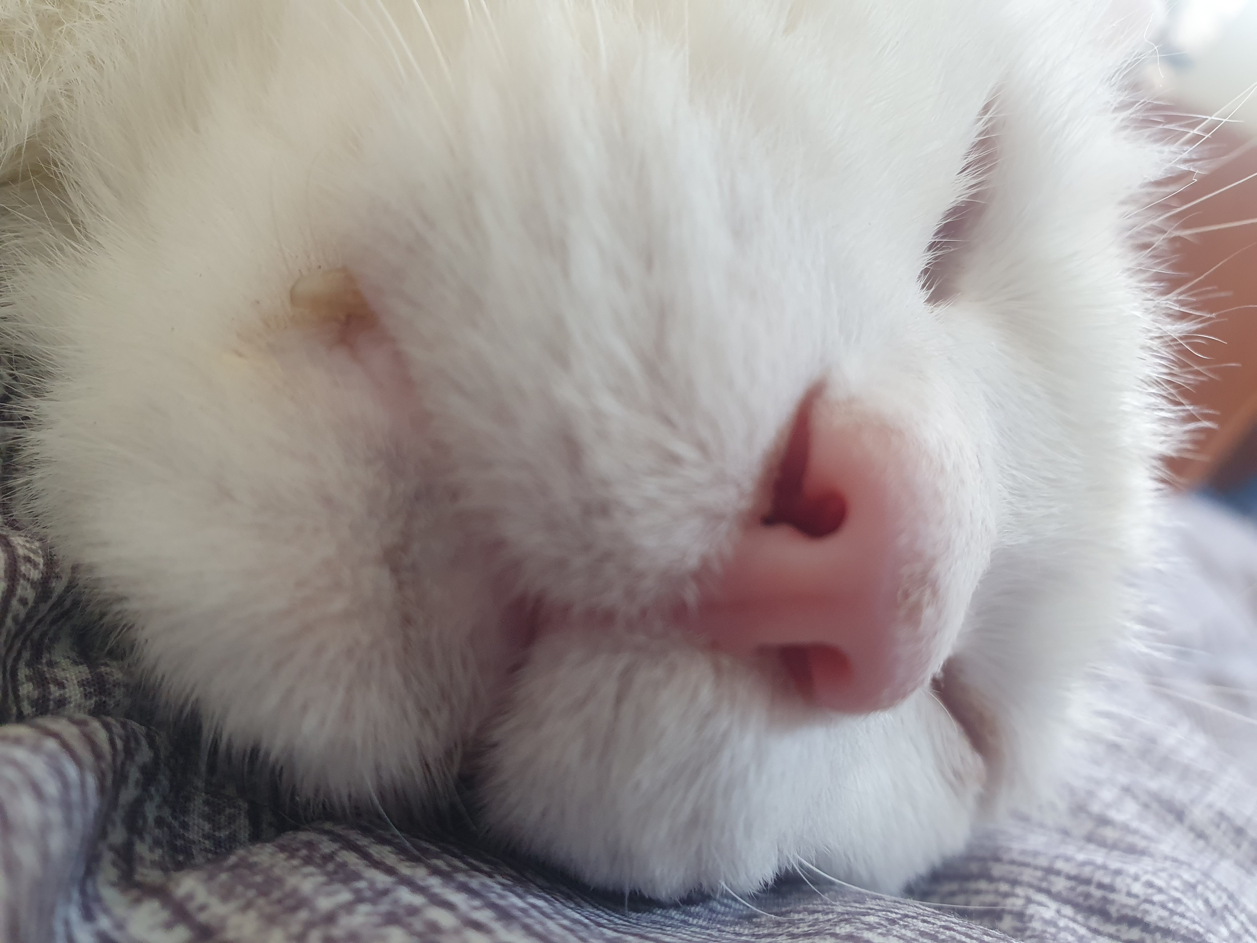 작성자 프로필 이미지