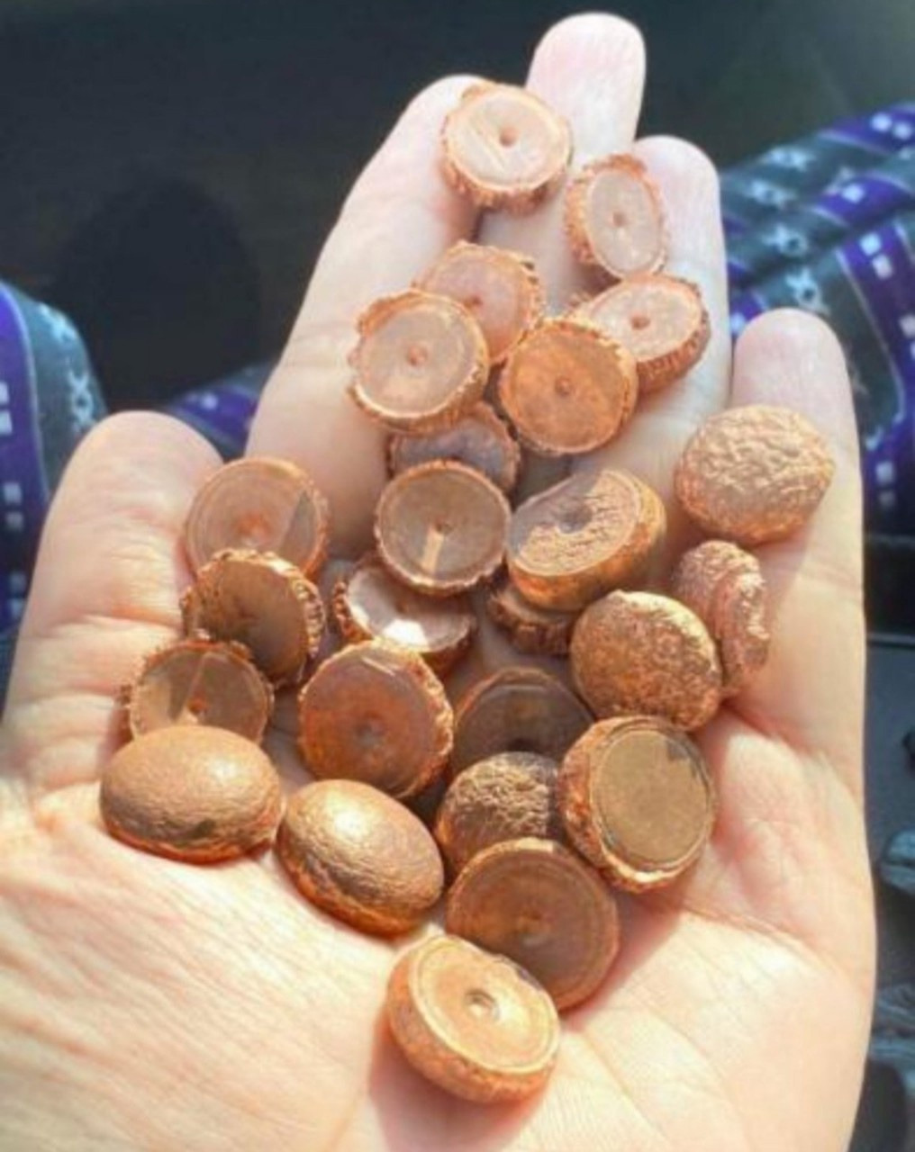 작성자 프로필 이미지