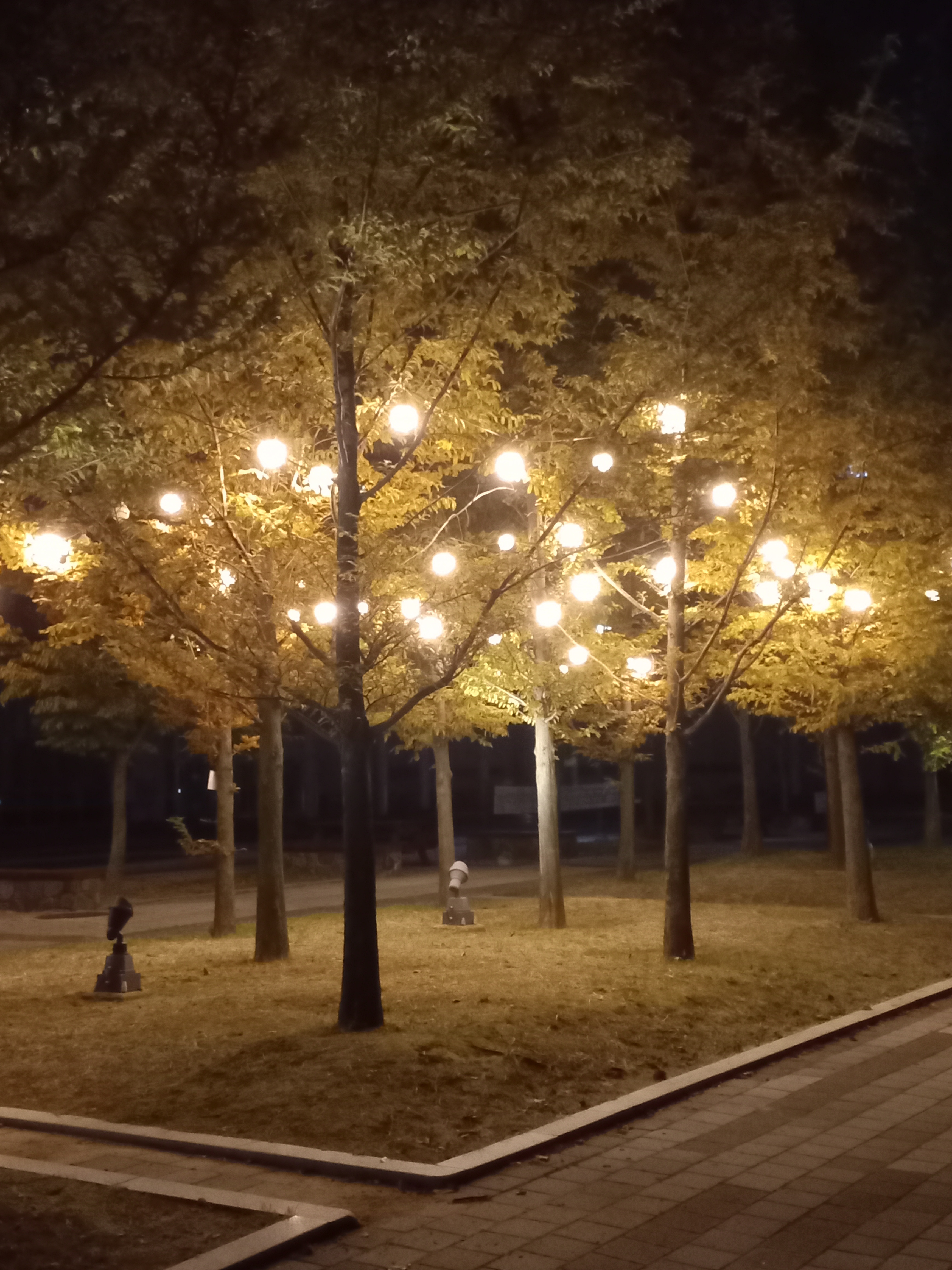 작성자 프로필 이미지