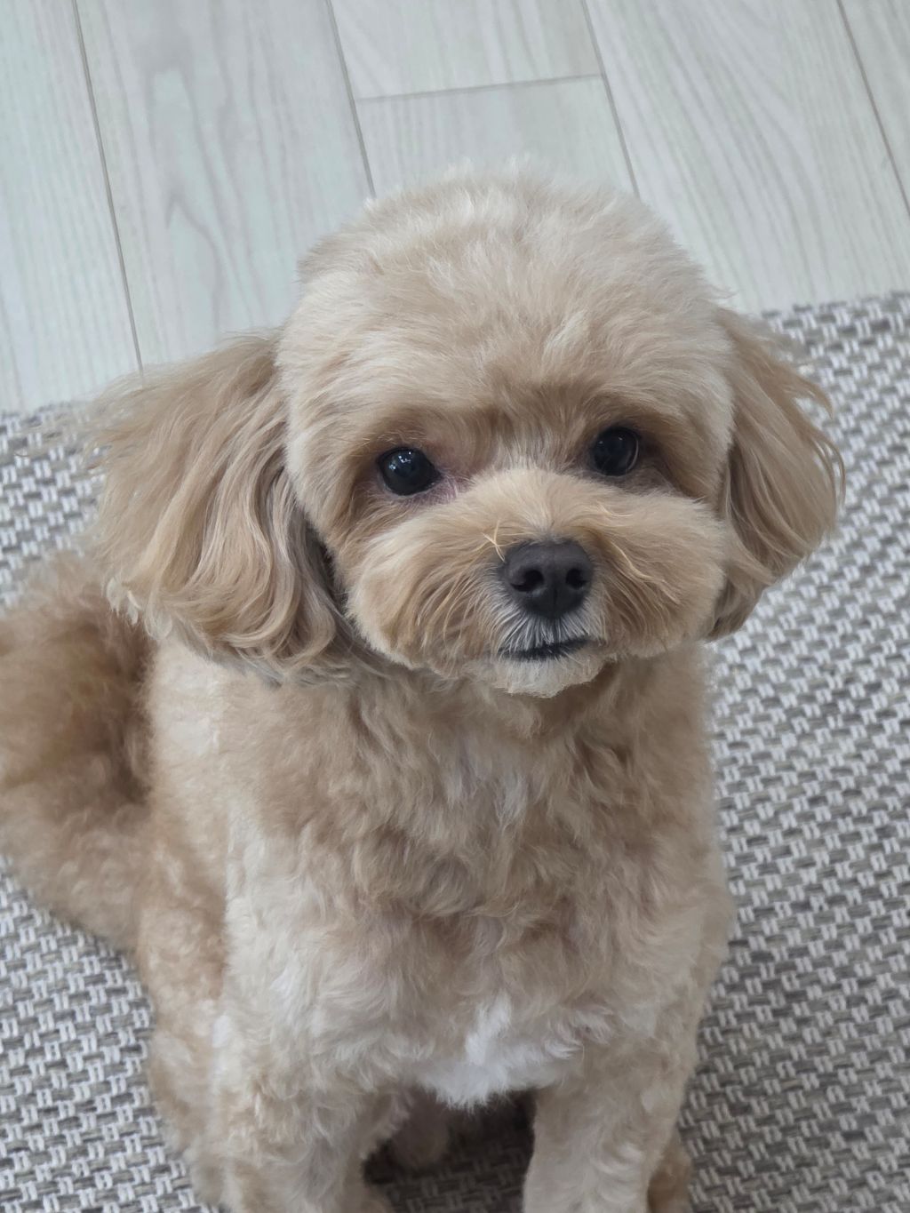 작성자 프로필 이미지