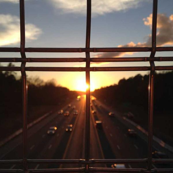 작성자 프로필 이미지