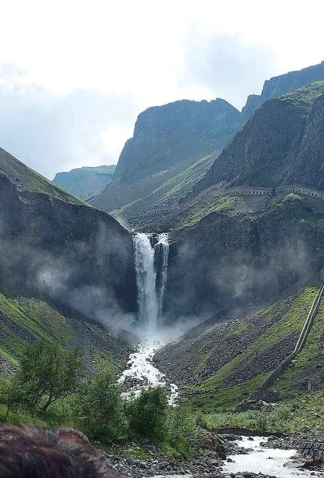 작성자 프로필 이미지