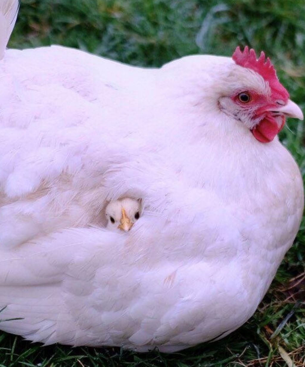 작성자 프로필 이미지