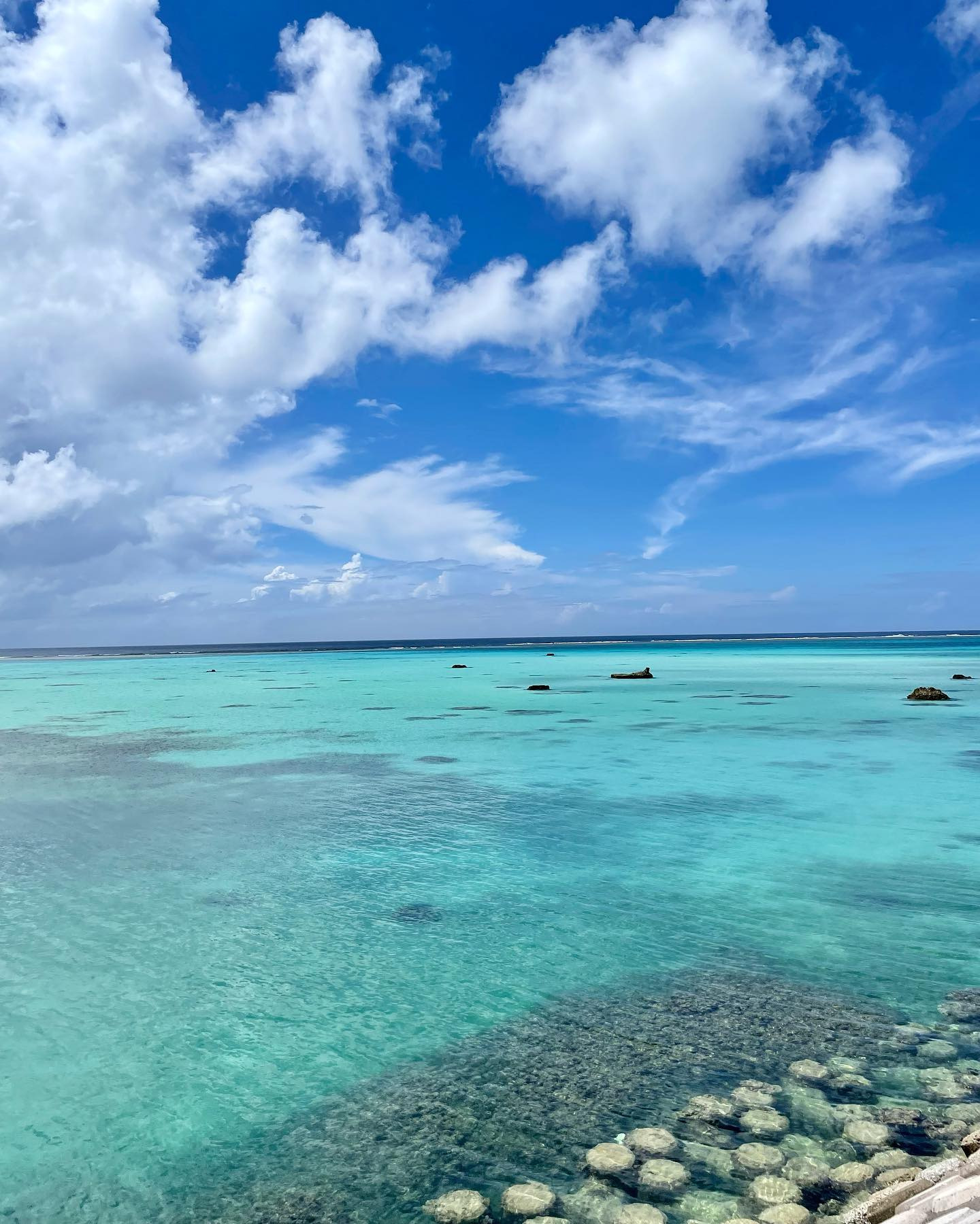 작성자 프로필 이미지