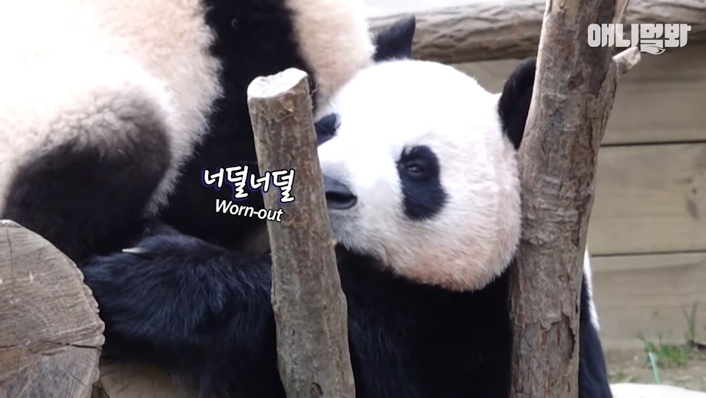 작성자 프로필 이미지