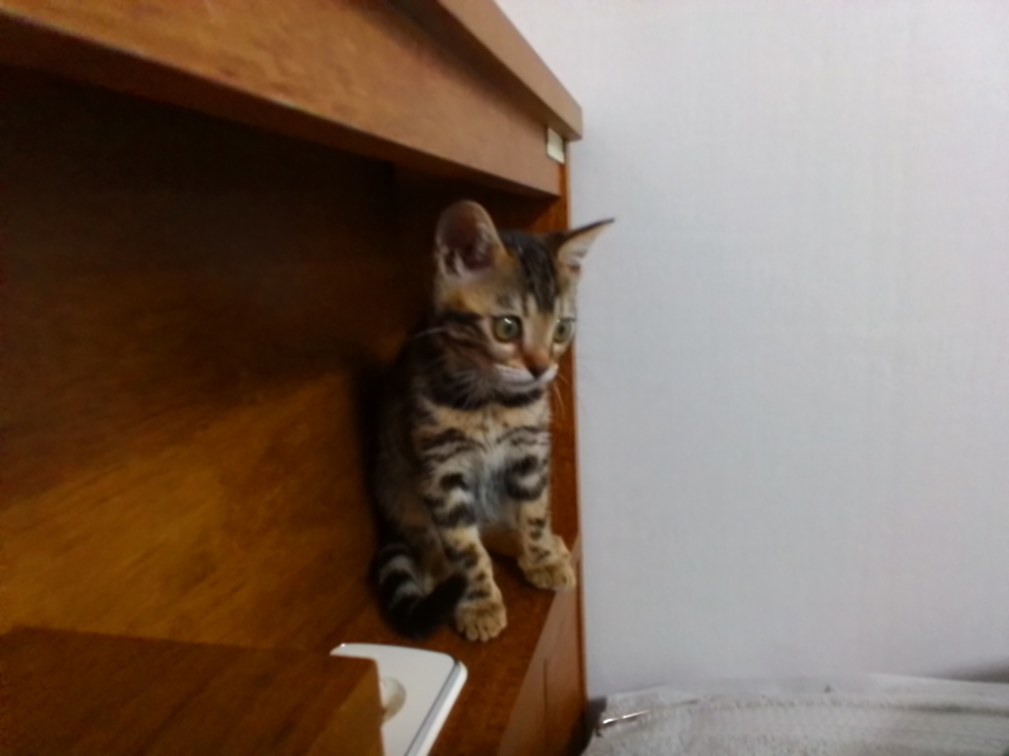 작성자 프로필 이미지