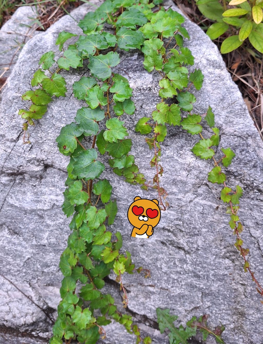 작성자 프로필 이미지