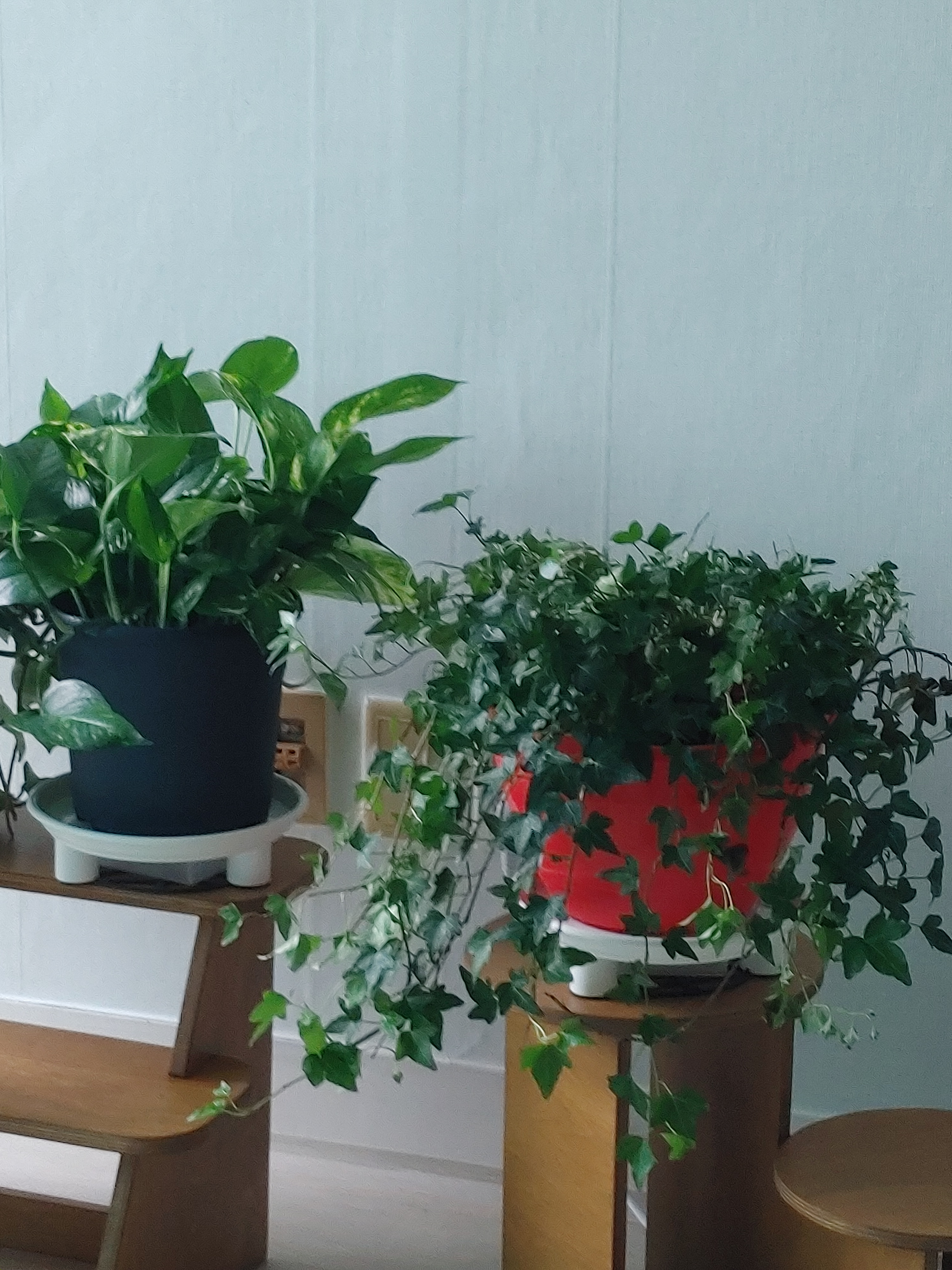 작성자 프로필 이미지