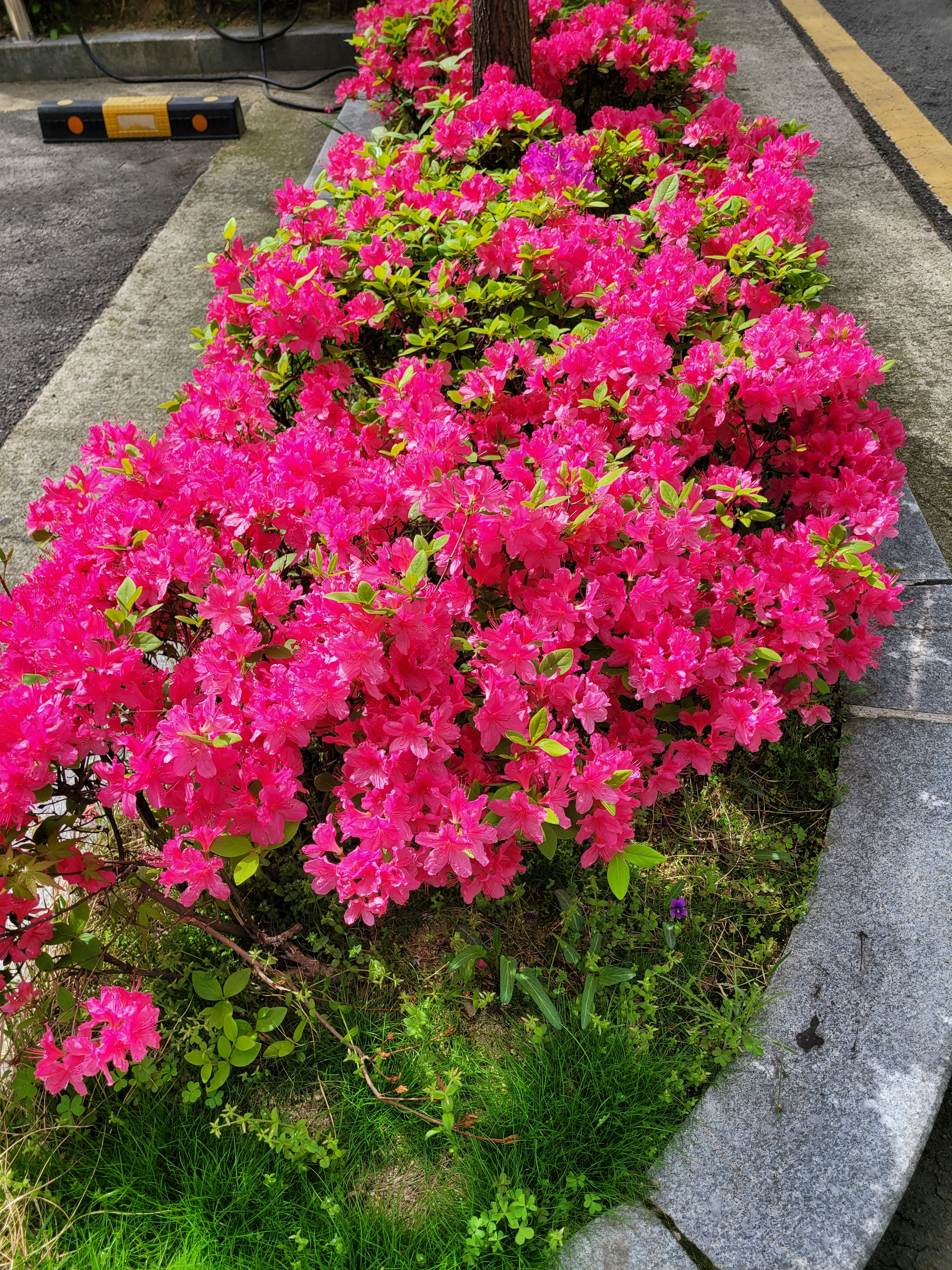 작성자 프로필 이미지