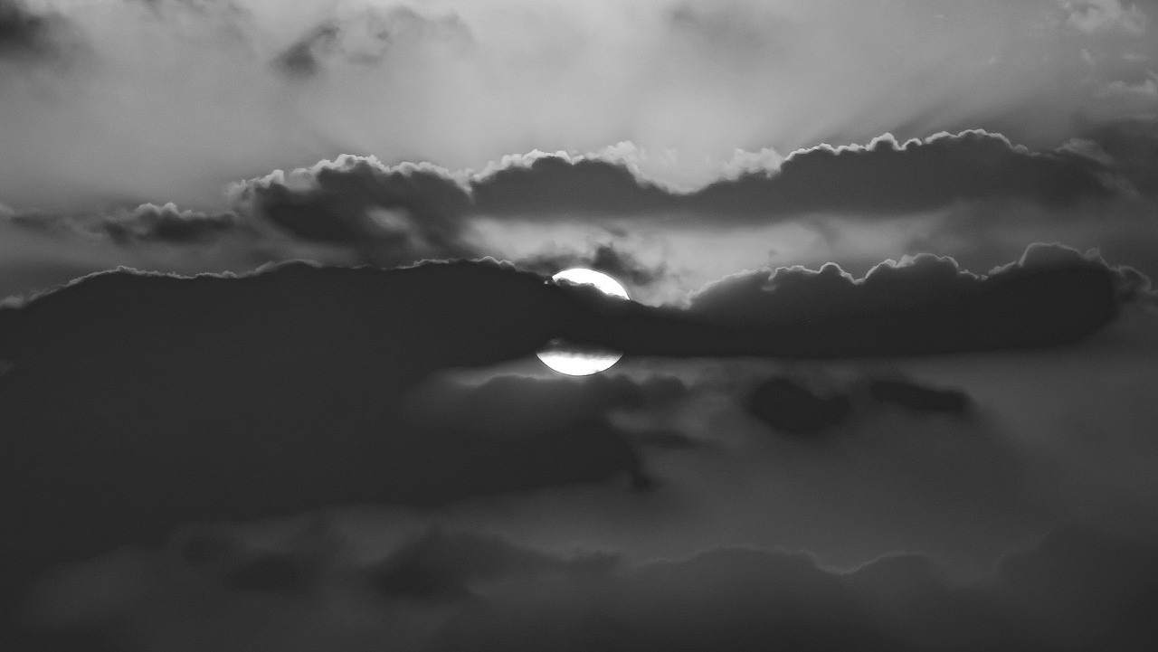 작성자 프로필 이미지